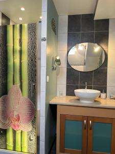 B&B / Chambres d'hotes La Fauconniere : photos des chambres