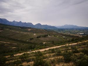 untether on Olive View