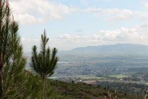 untether on Olive View