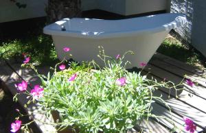 Alternative Space B & B