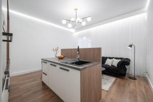 Modern Apartment in the heart of Vilnius Old Town with free parking by URBAN RENT