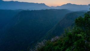 Mannath Private Pool Villas at Vellarimala