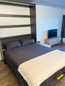 Studio élégant rénové avec vue à Anzère