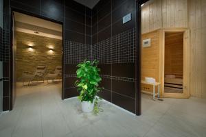 Hotel Kraskov Active Resort