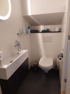 Boat Rooms on Water hele schip