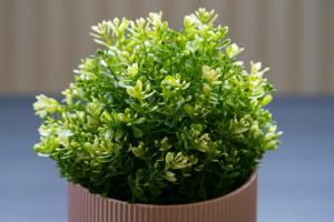 The Klimt- 1Bd Stylish Ap - Gold Short Term Stays