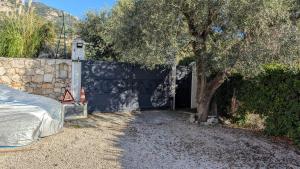 Appartements Le Mas d'Angeline - Vue mer jardin commun parking voiture obligatoire 10min voiture Monaco route etroite pente raide croisement limite voir photos - Sea view shared garden parking car mandatory 10min car Monaco narrow steep road limited passing see photos : photos des chambres