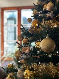 Maisons de vacances Gite Champagne Havre de Paix pour 4 Personnes au Coeur de la Foret : photos des chambres