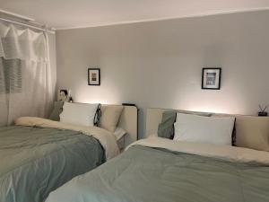 오픈특가-Leafful House