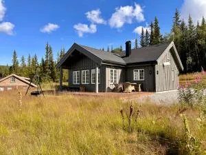 Cozy and Modern Cabin in Beitobygda - Vevle
