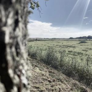 Wiltsangh Texel Tuinsuite Black