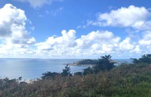 Villas Maison VUE MER avec jardin a 800m de la plage a TREBEURDEN REF-683 : Maison 3 Chambres