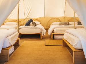 Tentes de luxe Lodg'ing Nature Camp Dordogne : photos des chambres