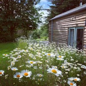 Bream Barn - sea view, woodburner, easy walk to the beach, parking, full kitchen - Mawnan Smith