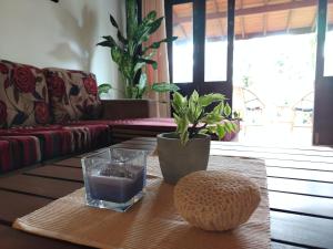 Villa Cinnamon Land - for Foreign Tourist