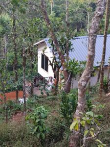 Pepper Mist Wayanad Homestay