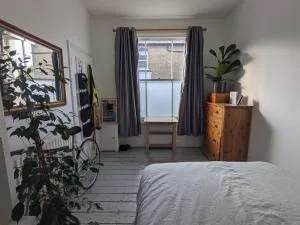 Cosy Christmas in lovely child friendly flat - London