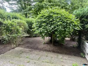 Kleine Oase am Mittellandkanal