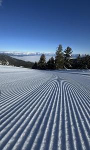 Alpine Lodge Bansko Apartments