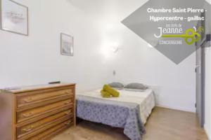 Appartements Chambre Saint Pierre - Hypercentre : Appartement 1 Chambre