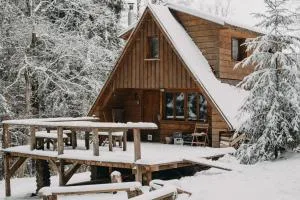 Roztomilá a utulná chata Azzy na samotě v lese. - Lidetschko