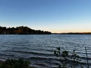 Le Bluesea - Gracefield