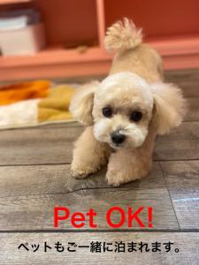 Villent Kujukuri Ocean 1