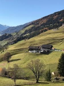 Appartement Lemberger - Biohof Stallfeld