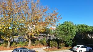 Appartements Paisible appartement central avec terrasse : photos des chambres