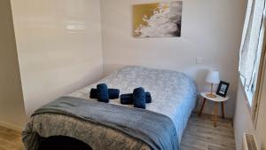 Appartements Paisible appartement central avec terrasse : photos des chambres