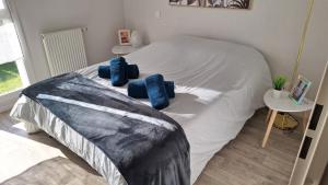 Charmant appartement cœur de ville avec terrasse aménagée privée