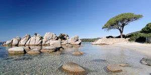 Villas Villa vue mer luxury a 5 minutes a pied du centre ville de Porto Vecchio : photos des chambres