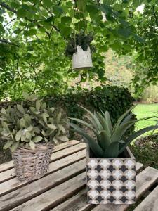 Maisons de vacances Opale - le triangle d-emeraude : photos des chambres