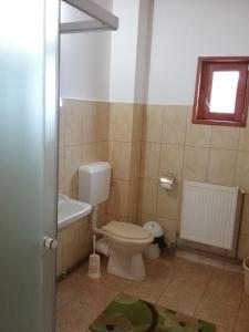 Suite room in Pensiunea Rose
