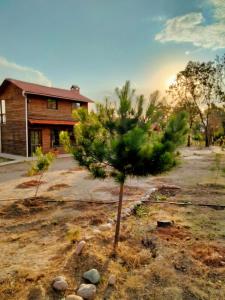 Eco Parque La Luciérnaga