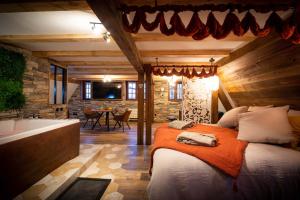 Suite & SPA 1566 Benfeld