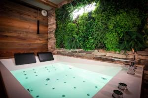 Appartements Suite & SPA 1566 Benfeld : photos des chambres