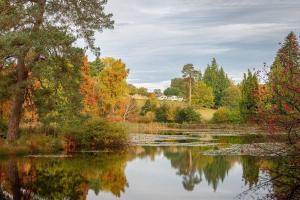 Cedar Cabin Overlooking Bedgebury Forest