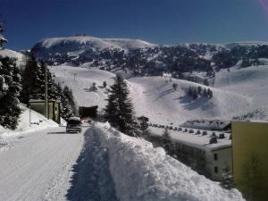 Appartements Eterlou 101 : photos des chambres