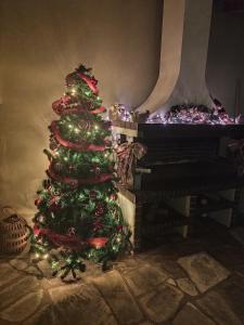 The familys house Trikala