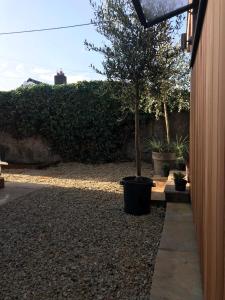 Your Dublin Basecamp