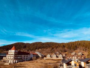 Horizont Bakuriani Apartment 30