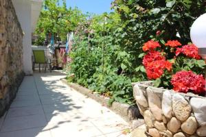 Apartments Roko
