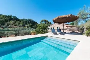 Es Coll d'en Pastor - 索列尔港