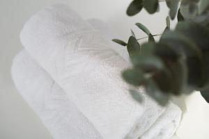 Metropolis A3 -Άνετη σουίτα