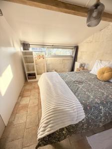 La tour de l Horloge, appt typique à 500m du château