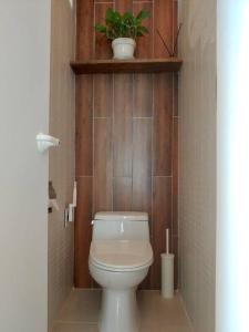 Urban Green Penthouse