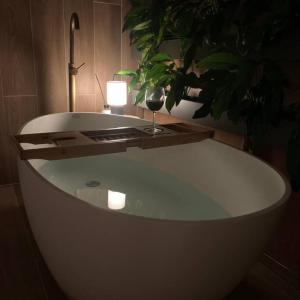 Urban Green Penthouse