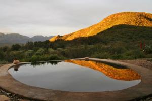 Living Land, a magical Permaculture Farm