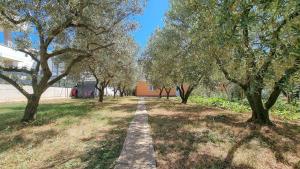 Mediterranes Studio-Apartment mit Liegewiese, Grillbereich und hundefreundlich 